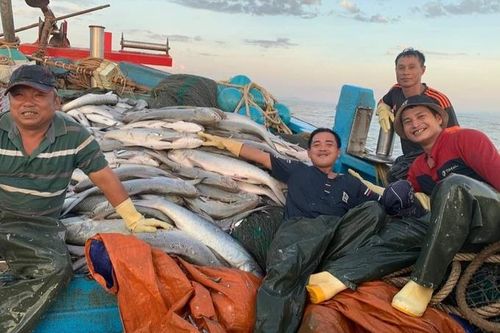 Vận may sau khi vớt mảnh xương cá voi, ngư dân trúng mẻ cá 140 triệu đồng