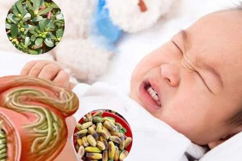 Trẻ còi cọc, lười ăn, thiếu máu vì nhiễm giun sán và cách nhận biết