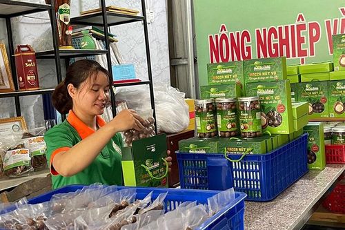 Lan tỏa phong trào khởi nghiệp vùng miền núi Quảng Ngãi