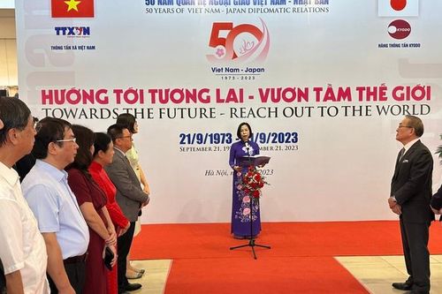Triển lãm ảnh Việt Nam-Nhật Bản: Hướng tới tương lai, vươn tầm thế giới