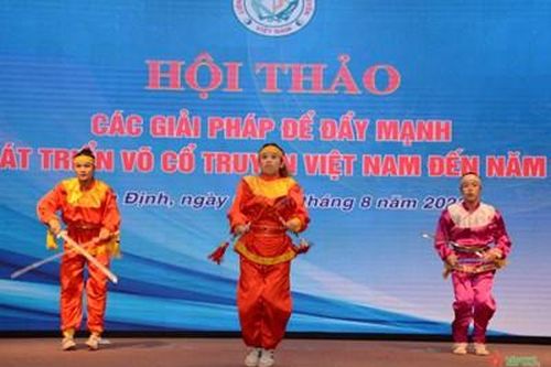 Hội thảo đẩy mạnh sự phát triển võ cổ truyền Việt Nam