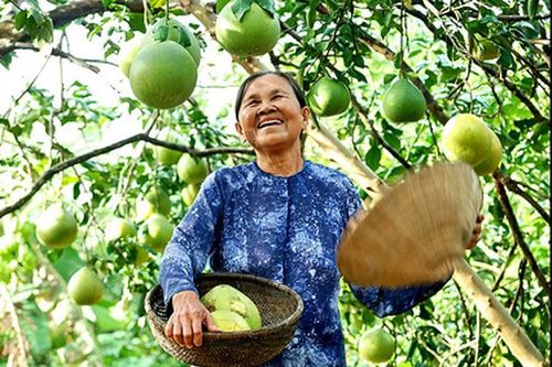 Tháng Tám thương nhớ