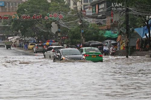 Trước khi xảy ra nạn phá rừng, nhà kính nở rộ, Đà Lạt đã bị lũ ống