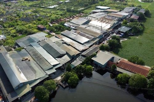Bí thư Thành ủy Hà Nội chỉ đạo làm rõ khu nhà xưởng 'mọc' trên đất nông nghiệp ở Trũng Phan