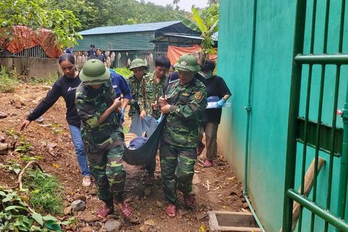 Quảng Bình di dời 7 cá thể hổ Đông Dương đến khu nuôi mới