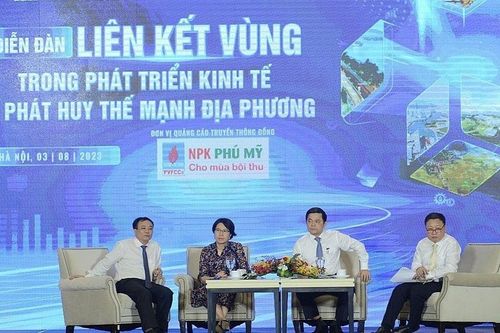Thúc đẩy liên kết vùng, cần chính sách toàn diện