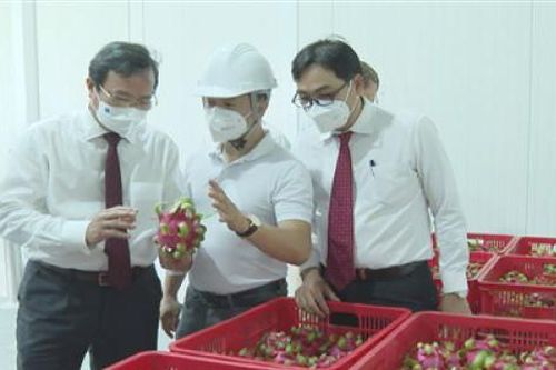 Vì sao kho lạnh thông minh 'triệu đô' ở miền Tây chưa hiệu quả?