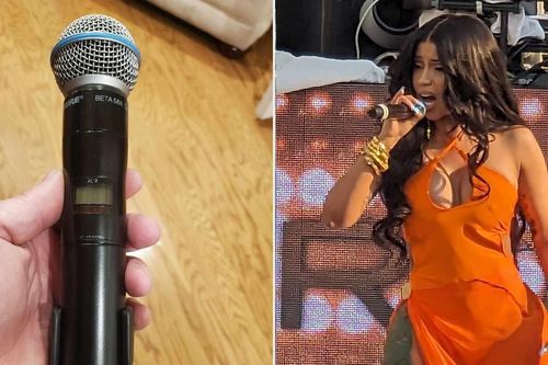 Đấu giá micro bị nữ ca sĩ ném vào đầu khán giả khi đang biểu diễn