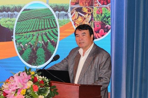 TS Phạm S: Giải bài toán '3 hơn' cho nông sản Lâm Đồng