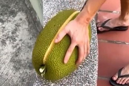 Tin lời quảng cáo mít cực ngon ngọt, thanh niên mua về rồi bổ ra và cái kết
