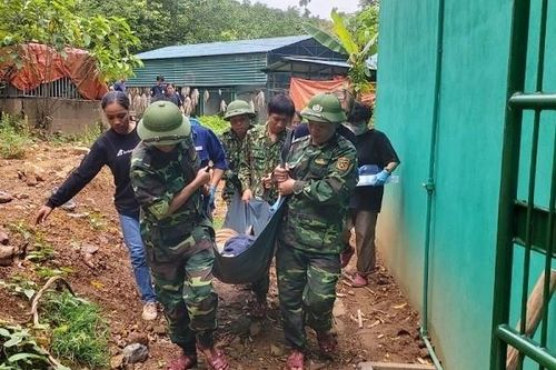 Quảng Bình: Di dời 7 'ông Hổ' tới nơi ở mới