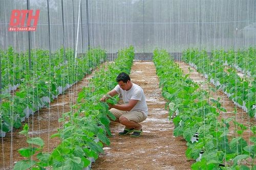 Chuyển đổi cơ cấu cây trồng gắn với phát triển nông nghiệp công nghệ cao