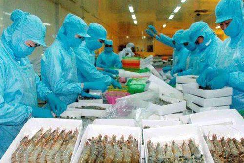 Lãi vay cao 'ghì' lợi nhuận doanh nghiệp thủy sản