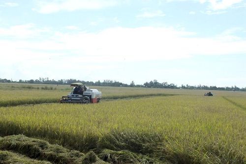 Lãnh đạo thực hiện đạt và vượt nhiều chỉ tiêu về phát triển kinh tế - xã hội