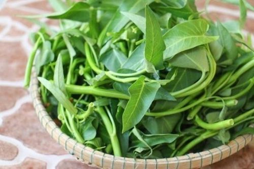 Sai lầm tai hại khi ăn rau muống nhiều người mắc phải