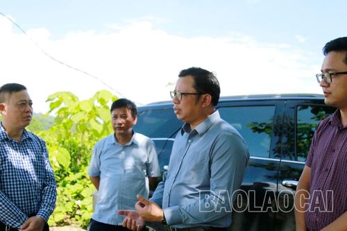 Chuẩn bị mặt bằng Dự án Nhà máy sản xuất dây cáp điện công nghệ cao