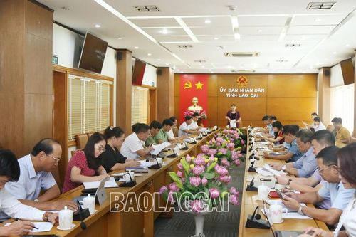 Từ ngày 16/8 bắt đầu phát hành vé xem Giải Bóng chuyền nữ quốc tế VTV Cup 2023