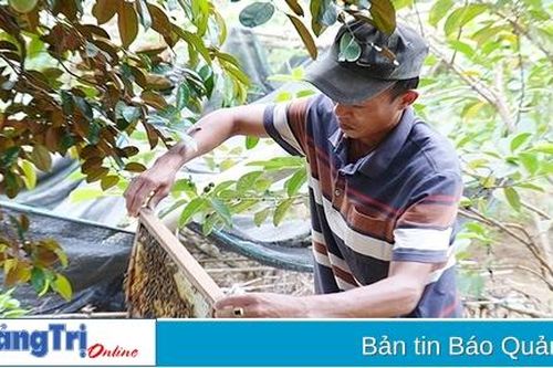 Từ kinh tế khó khăn vươn lên khá giả