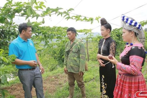 Khởi sắc vùng biên Yên Châu: Kỳ I: Dân vận khéo để bứt phá