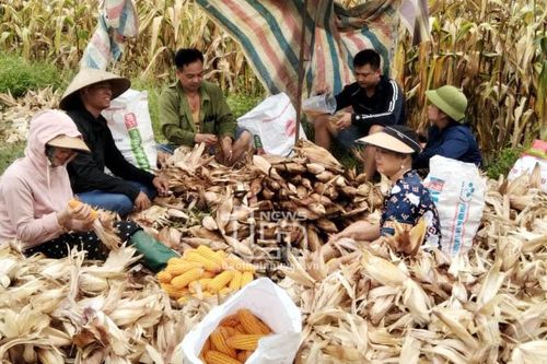 Giúp đồng bào có cuộc sống sung túc, hạnh phúc