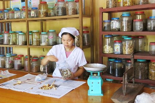 Chủ động bảo tồn bài thuốc, cây thuốc quý