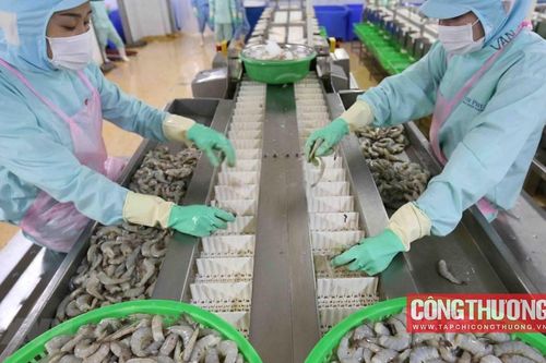 Thực phẩm Sao Ta (FMC): Doanh số tháng 7 phục hồi mạnh, dự báo xuất khẩu nửa cuối năm tăng tốc