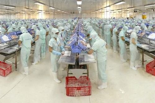 Lãi giảm 87% trong quý 2, người nhà Chủ tịch Thủy sản Cửu Long An Giang bán hơn 1,3 triệu cổ phiếu