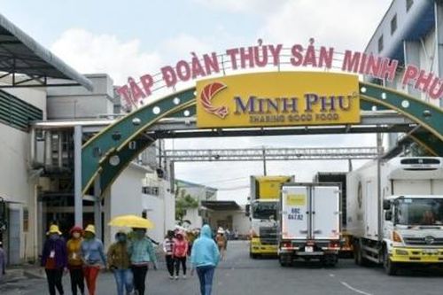 'Vua tôm' Minh Phú lỗ gần 90 tỷ đồng trong nửa đầu năm 2023
