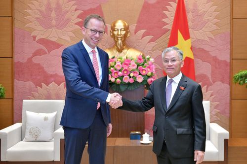 Phó Chủ nhiệm Ủy ban Đối ngoại Đôn Tuấn Phong tiếp Phó Đại sứ CHLB Đức tại Việt Nam