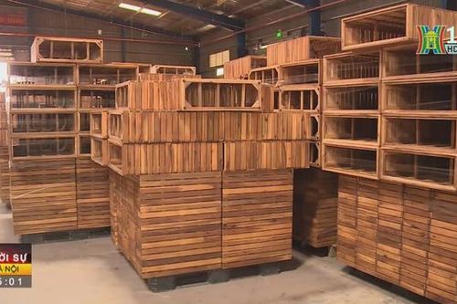 Đơn hàng tăng, xuất khẩu Gỗ khởi sắc