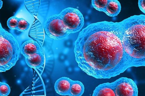Mỹ phát triển thuốc viên tiêu diệt khối u ung thư không làm hại tế bào khỏe mạnh
