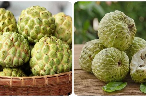 Quả na thơm ngọt, bổ dưỡng nhưng lại 'đại kỵ' với những nhóm người này
