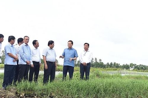 Phó Thủ tướng Trần Lưu Quang khảo sát 3 chương trình MTQG tại Bạc Liêu