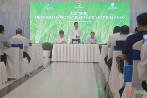 Việt Nam không lo thiếu gạo xuất khẩu