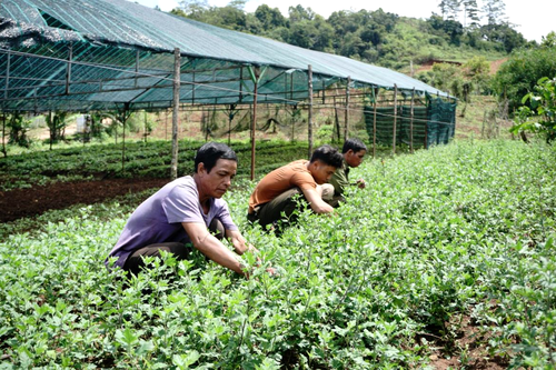 Thay đổi tư duy, liên kết để phát triển