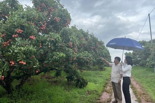 Bắc Giang tập trung phát triển du lịch nông thôn