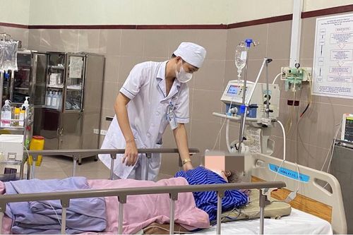 Nhiều người nhập viện do trèo cây hồi ở Lạng Sơn
