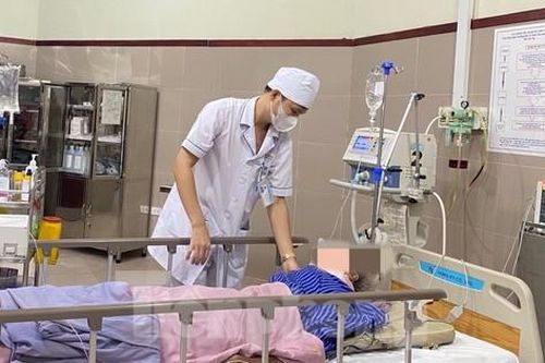 Trèo hái hoa hồi, nhiều người ở Lạng Sơn ngã chấn thương nặng, tử vong