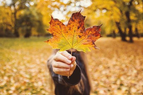 8 năm hôn nhân không bằng 2 tháng anh dan díu với tình trẻ