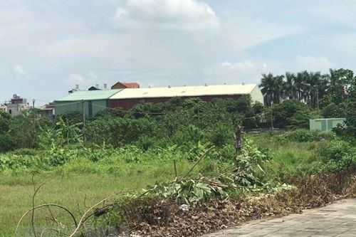 Bình Phước yêu cầu kiểm điểm sai phạm trong quản lý đất đai