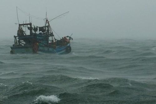 Vũng Tàu: Một thuyền viên rơi xuống biển, bị sóng cuốn mất tích