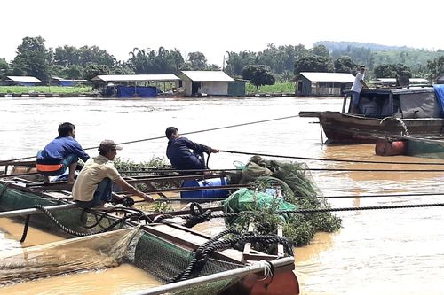 Cảnh báo lũ khẩn cấp trên các sông ở khu vực tỉnh Đồng Nai