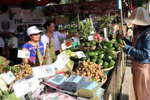 Nhiều hoạt động đặc sắc tại Ngày hội du lịch K'bang