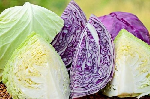 Lợi ích bất ngờ từ rau bắp cải không phải ai cũng biết