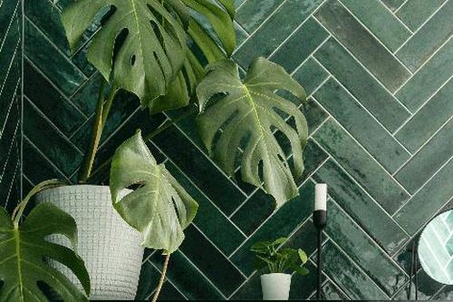 Cập nhật xu hương trang trí phòng tắm gia đình với gạch ốp màu xanh lá