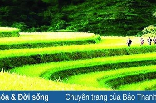 Khai thác thế mạnh phát triển kinh tế miền núi