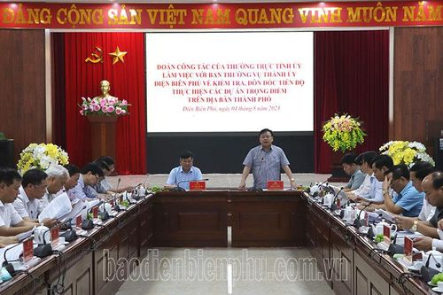 Thường trực Tỉnh ủy kiểm tra tiến độ thực hiện các dự án trọng điểm