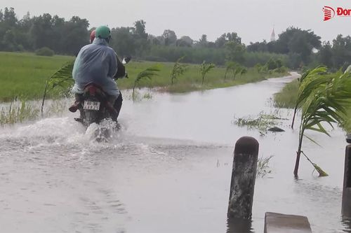 Đến lượt Định Quán có nguy cơ mất trắng hàng trăm héc-ta lúa do lũ