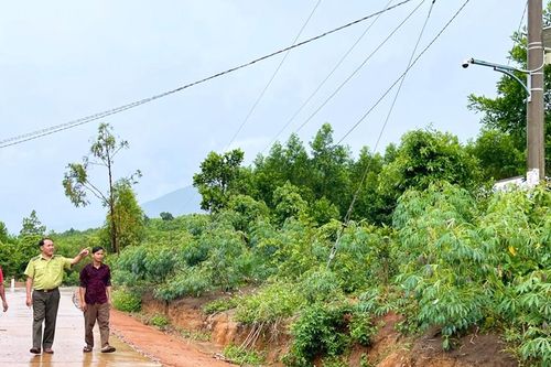 Mang Yang gắn 'mắt thần' bảo vệ rừng