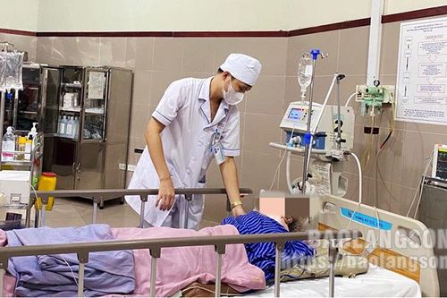 Cảnh báo gia tăng bệnh nhân nhập viện do ngã khi trèo hái hồi